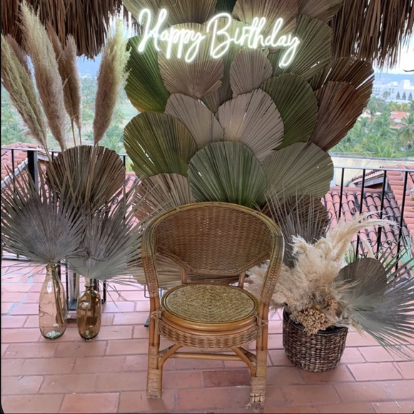 🌴 {10 Pack total }VeryLarge Organic Real Palm Leaves & Small Palm Leaves 🌴 - Picture 10 of 17